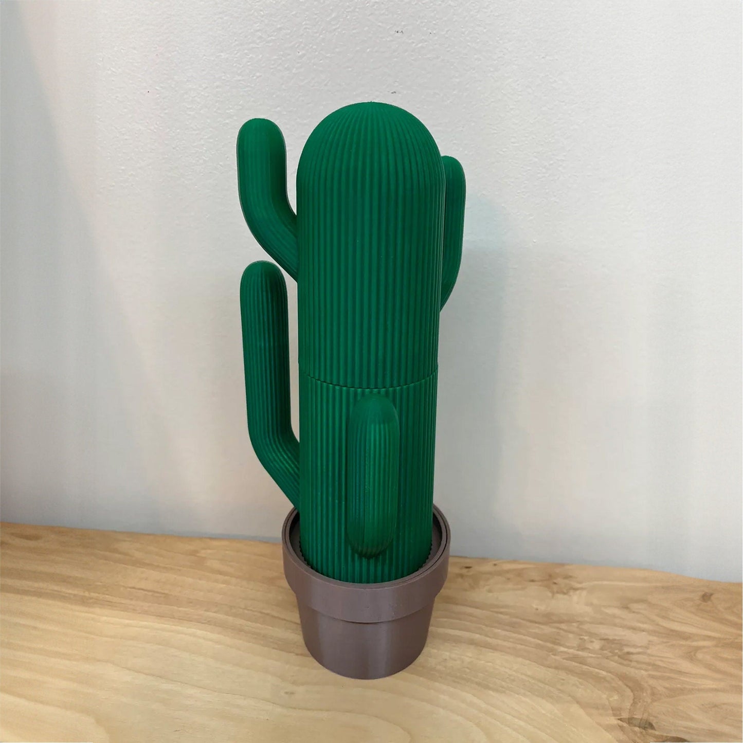 a green cactus sitting on top of a wooden table