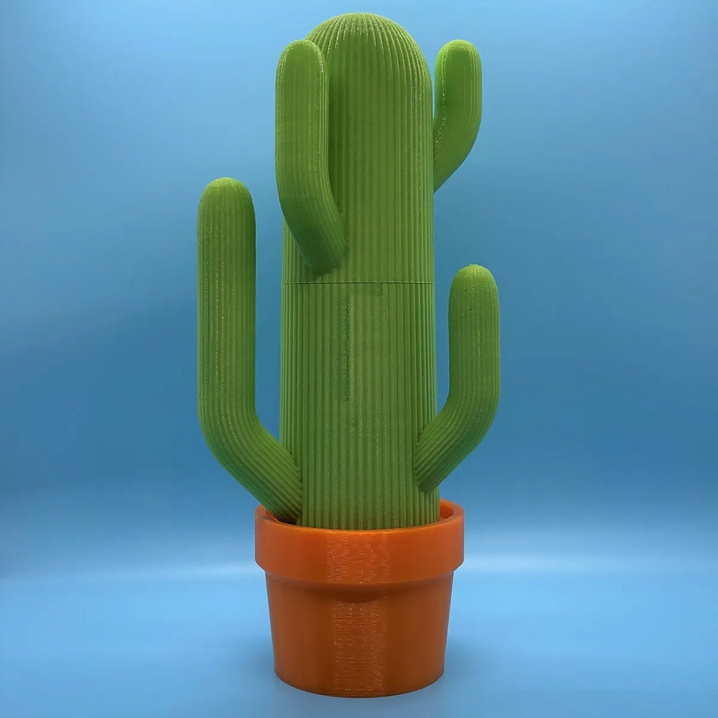 a green cactus in a pot on a blue background