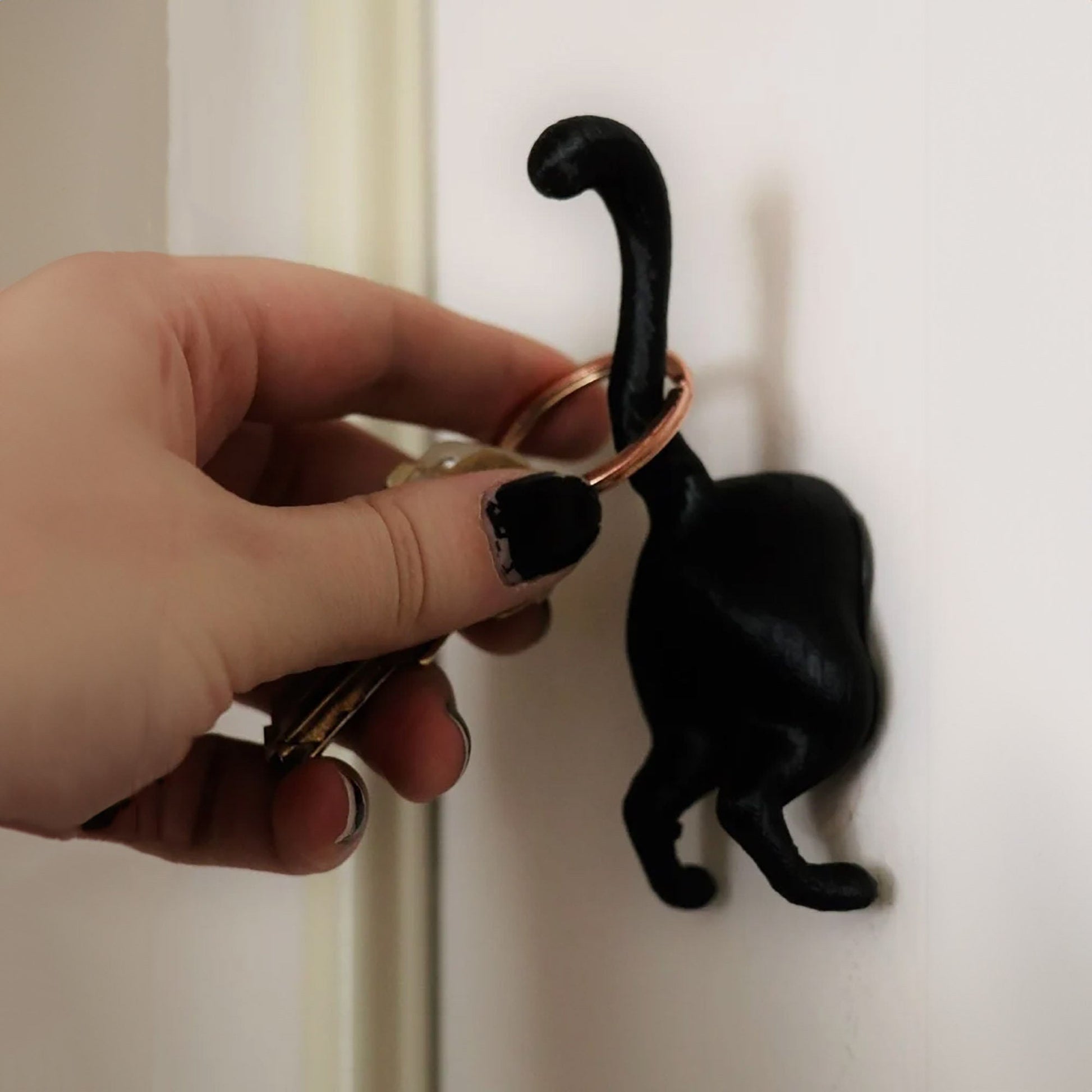 a person holding a pair of scissors in front of a black cat