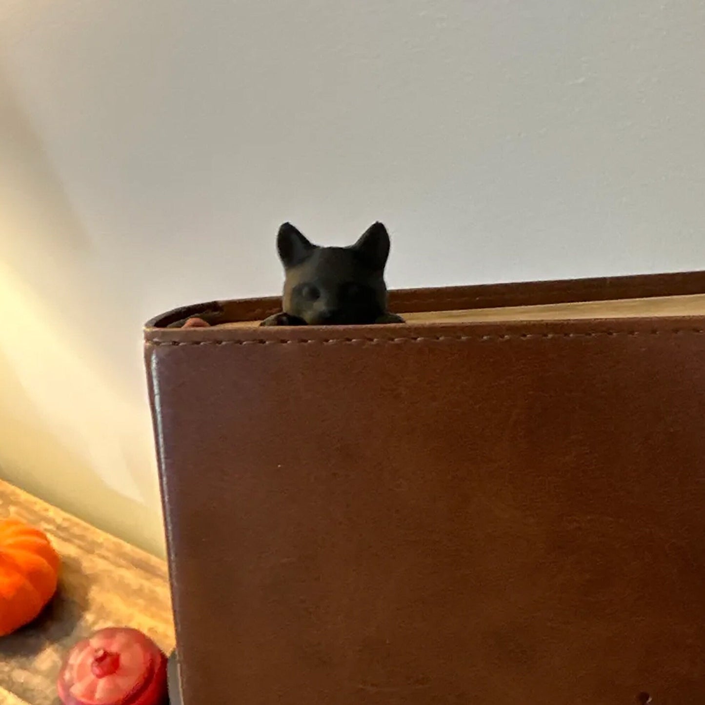 a small black dog sticking its head out of a book