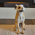 Bone skull dog mask helmet for Pokemon cosplay pet costumes, view 3
