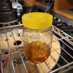 Fruit fly trap lid with inverted cone on a mason jar, view 3