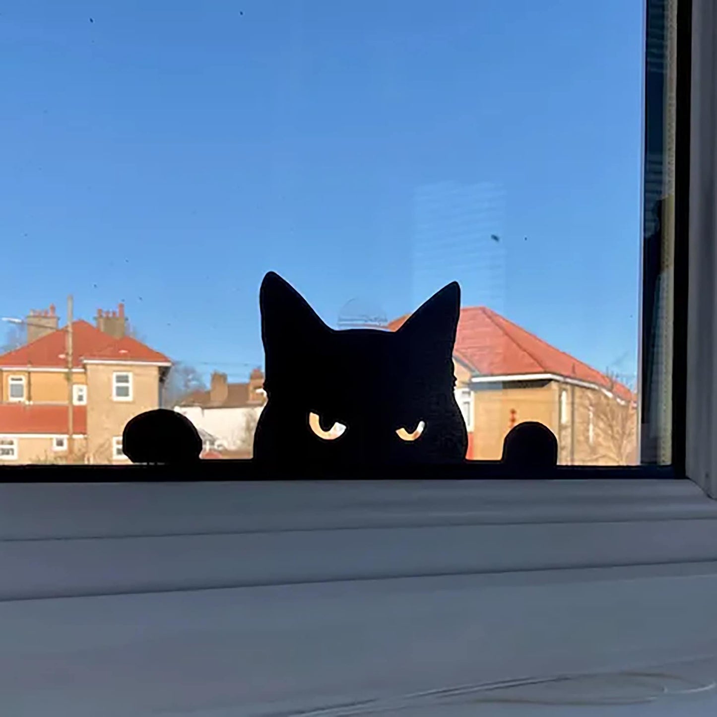 a black cat looking out of a window