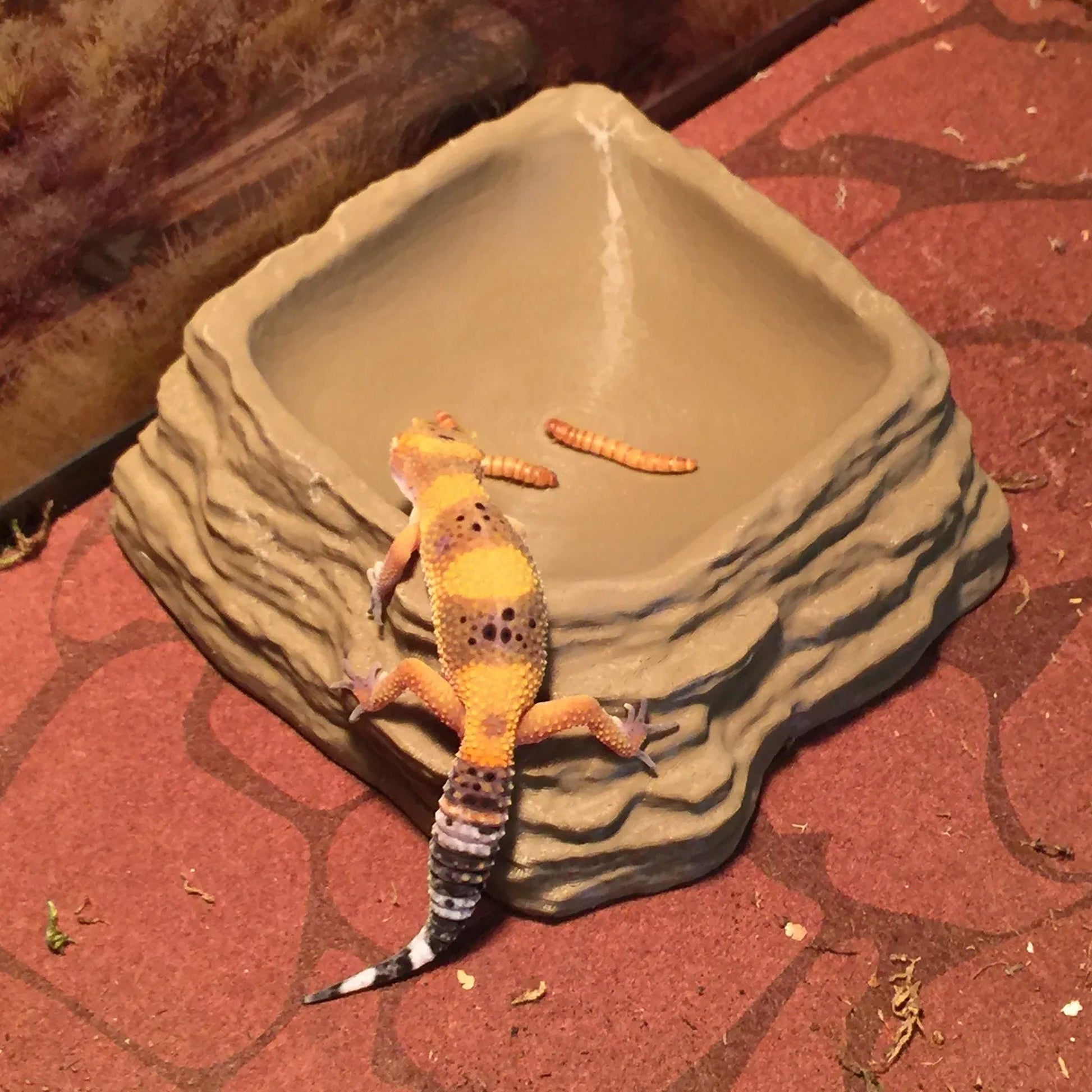 a small gecko sitting on top of a stone bowl