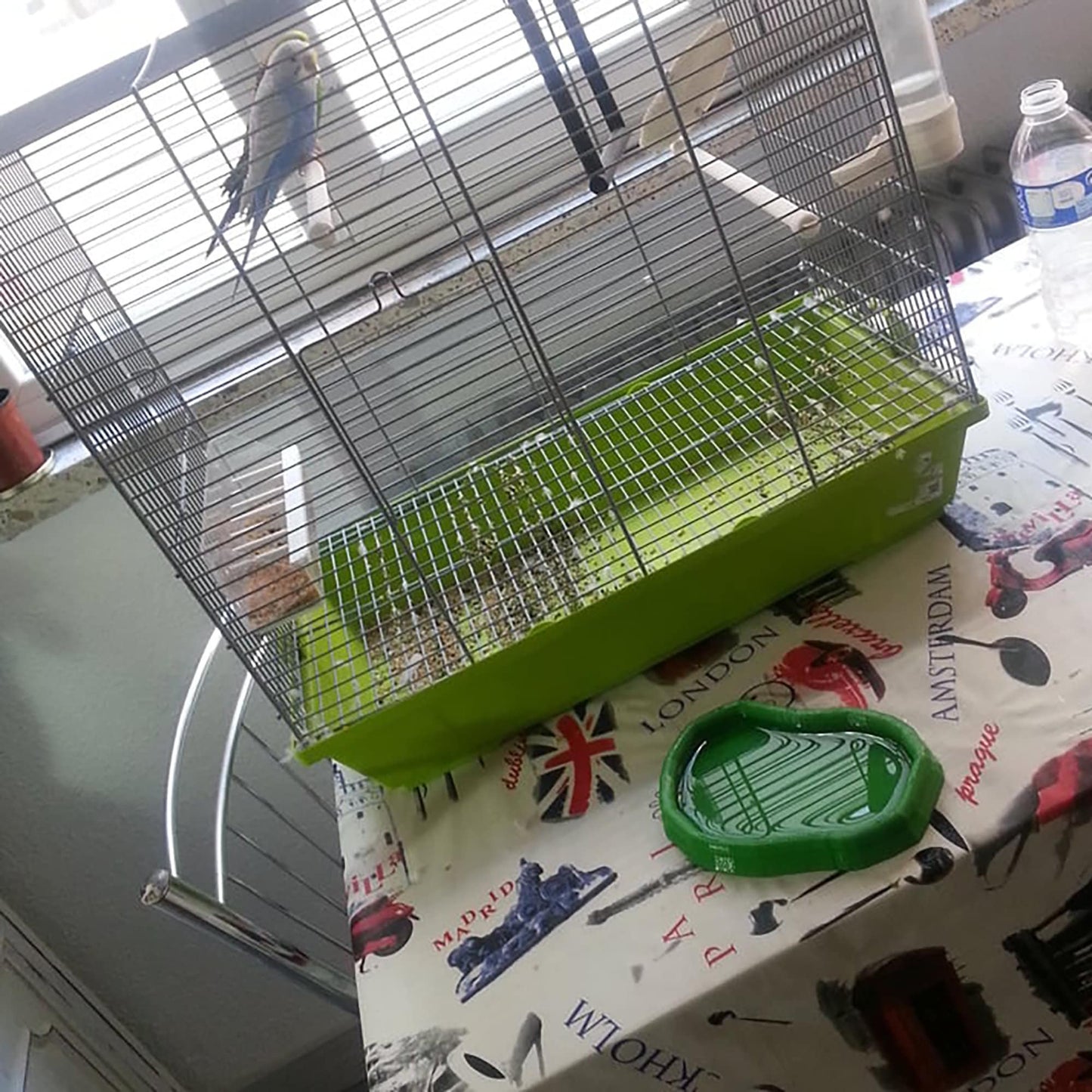 a green bird cage sitting on top of a table