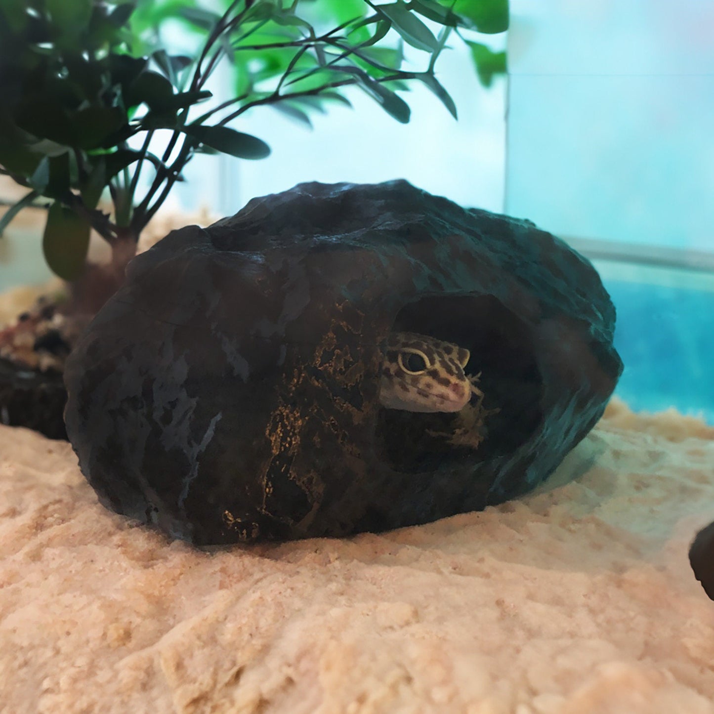 a turtle in a rock next to a potted plant