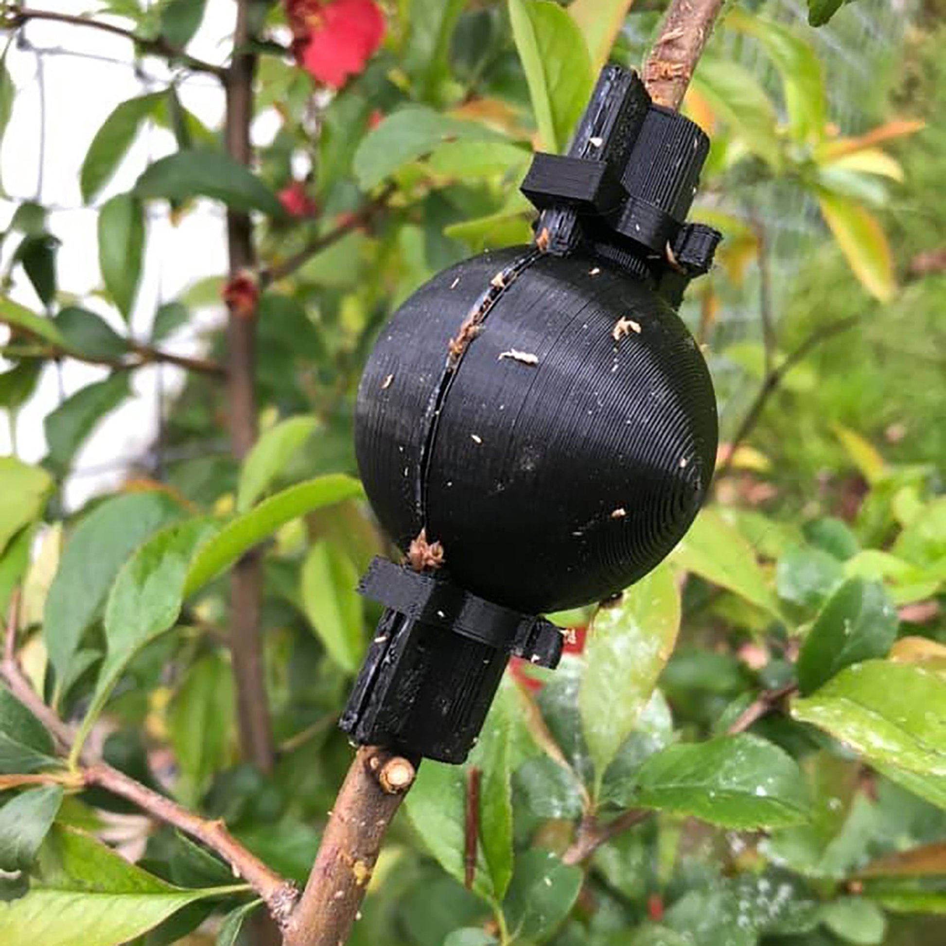 a black object hanging from a tree branch