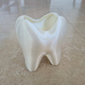 Toothbrush Holder and Desktop Organizer for All Ages